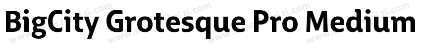 BigCity Grotesque Pro Medium Italic字体转换
